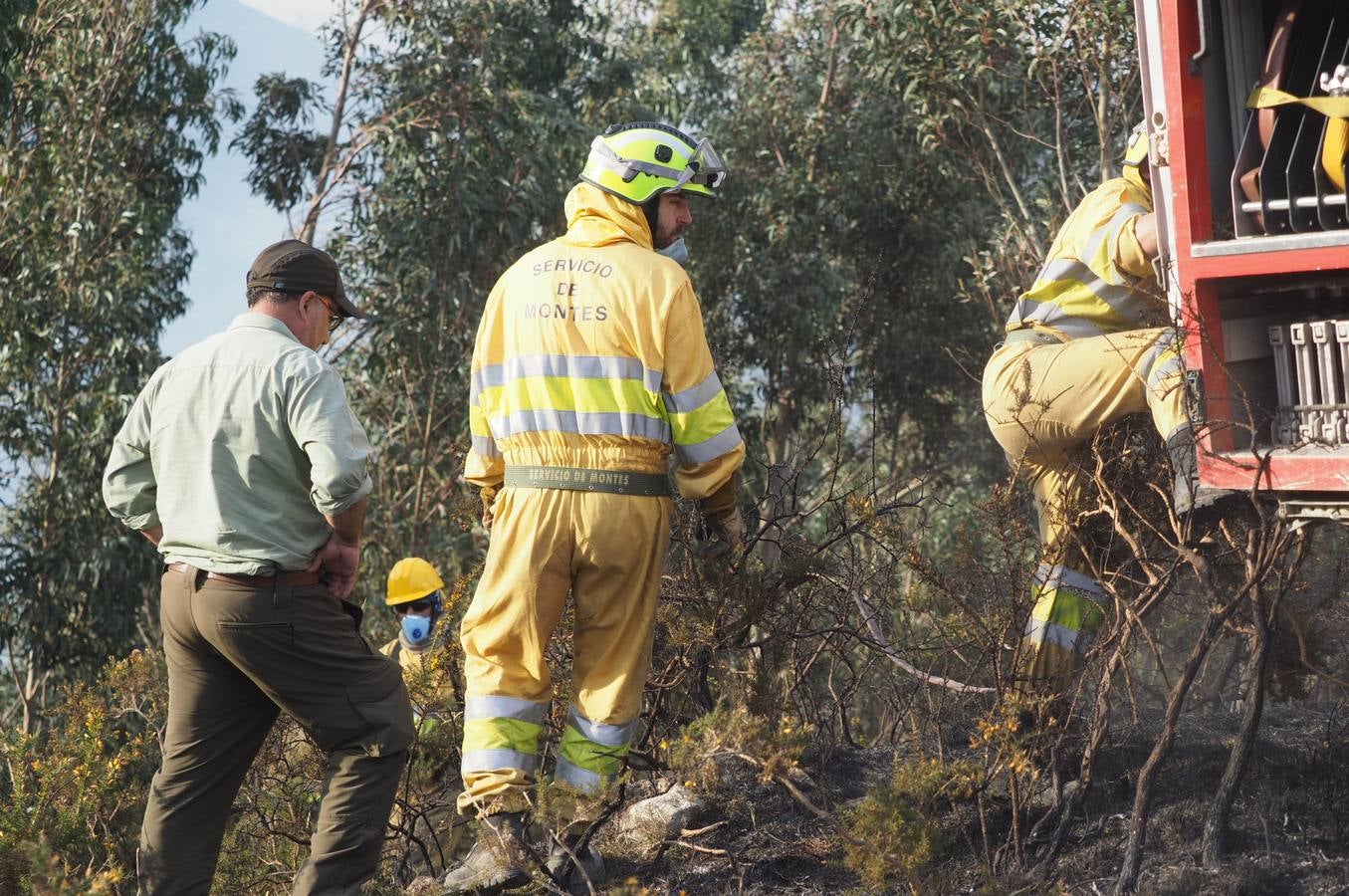 Fotos: La lucha contra el fuego de los operarios de Montes