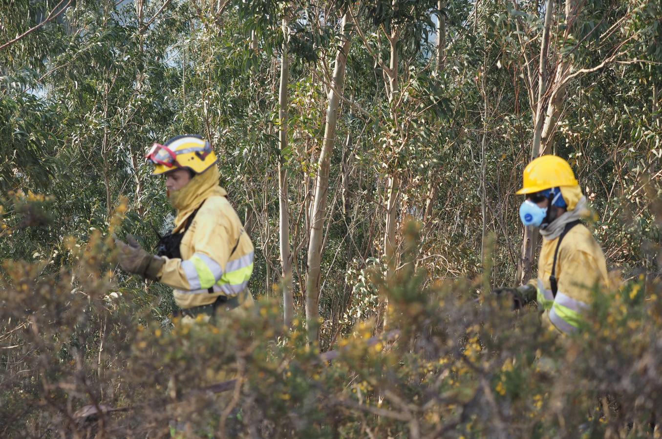 Fotos: La lucha contra el fuego de los operarios de Montes