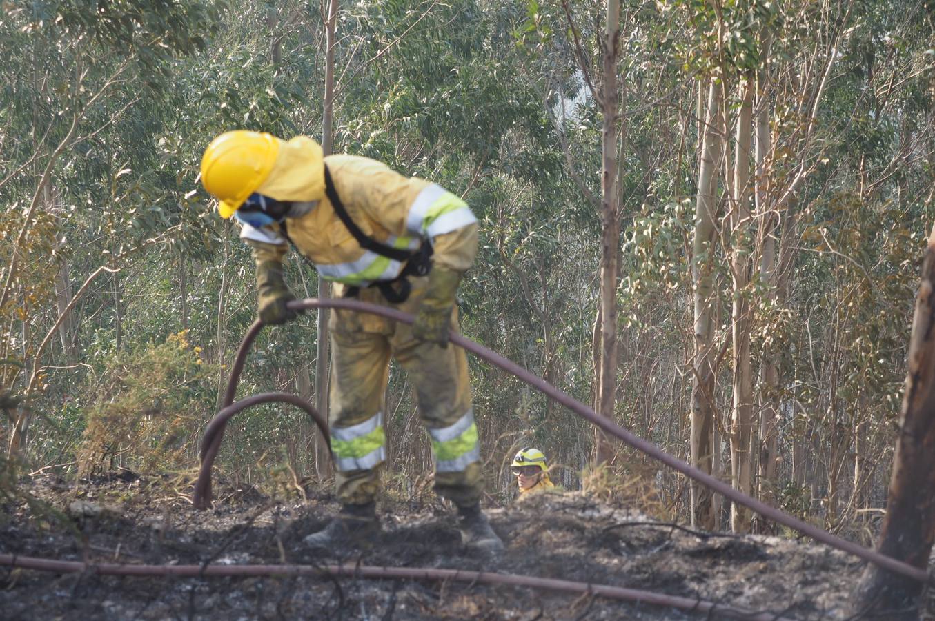 Fotos: La lucha contra el fuego de los operarios de Montes