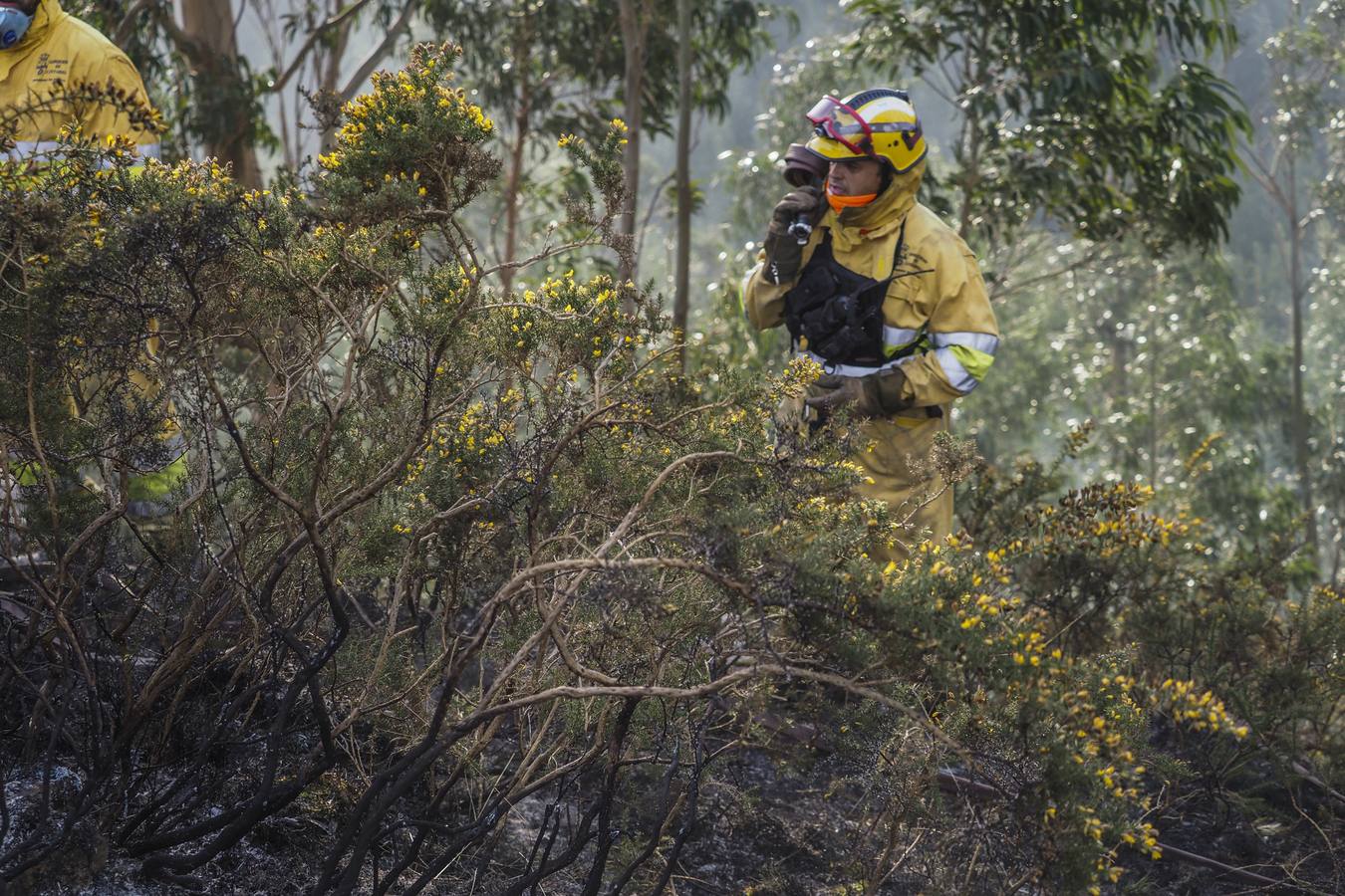 Fotos: Cantabria apaga los últimos incendios tras seis días trágicos