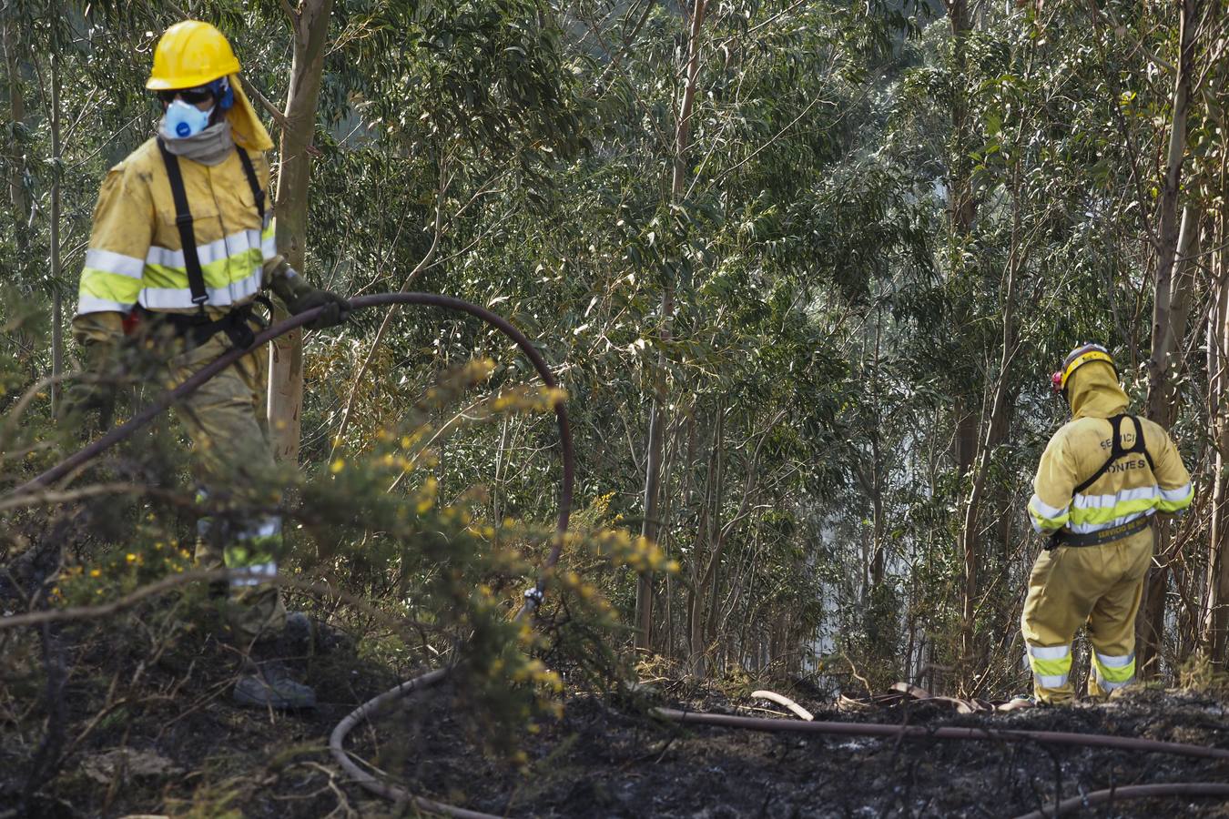 Fotos: Cantabria apaga los últimos incendios tras seis días trágicos