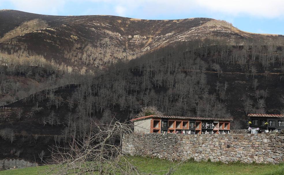 El cementerio de Viaña, frente a uno de los montes calcinados en la comarca de Cabuérniga. :