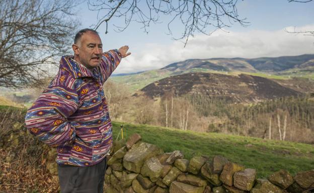 José Cobo muestra la collada de Selaya, donde ardió un eucaliptal.