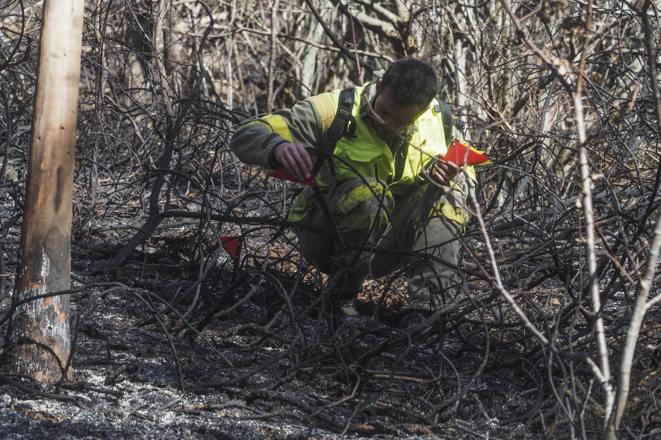 Una brigada de investigación de incendios y la Guardia Civil tratan de esclarecer el origen del fuego de Ramales