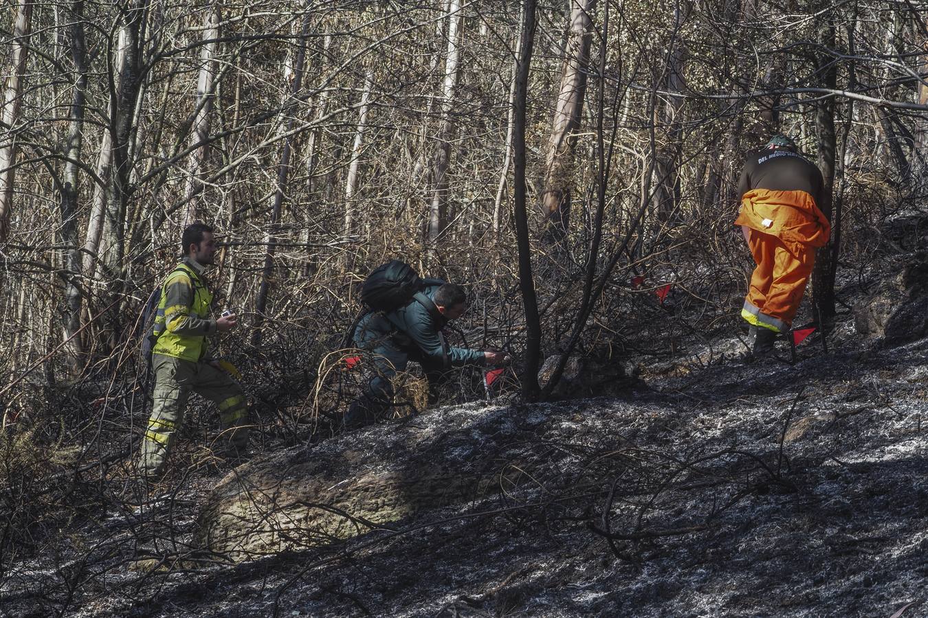 Una brigada de investigación de incendios y la Guardia Civil tratan de esclarecer el origen del fuego de Ramales