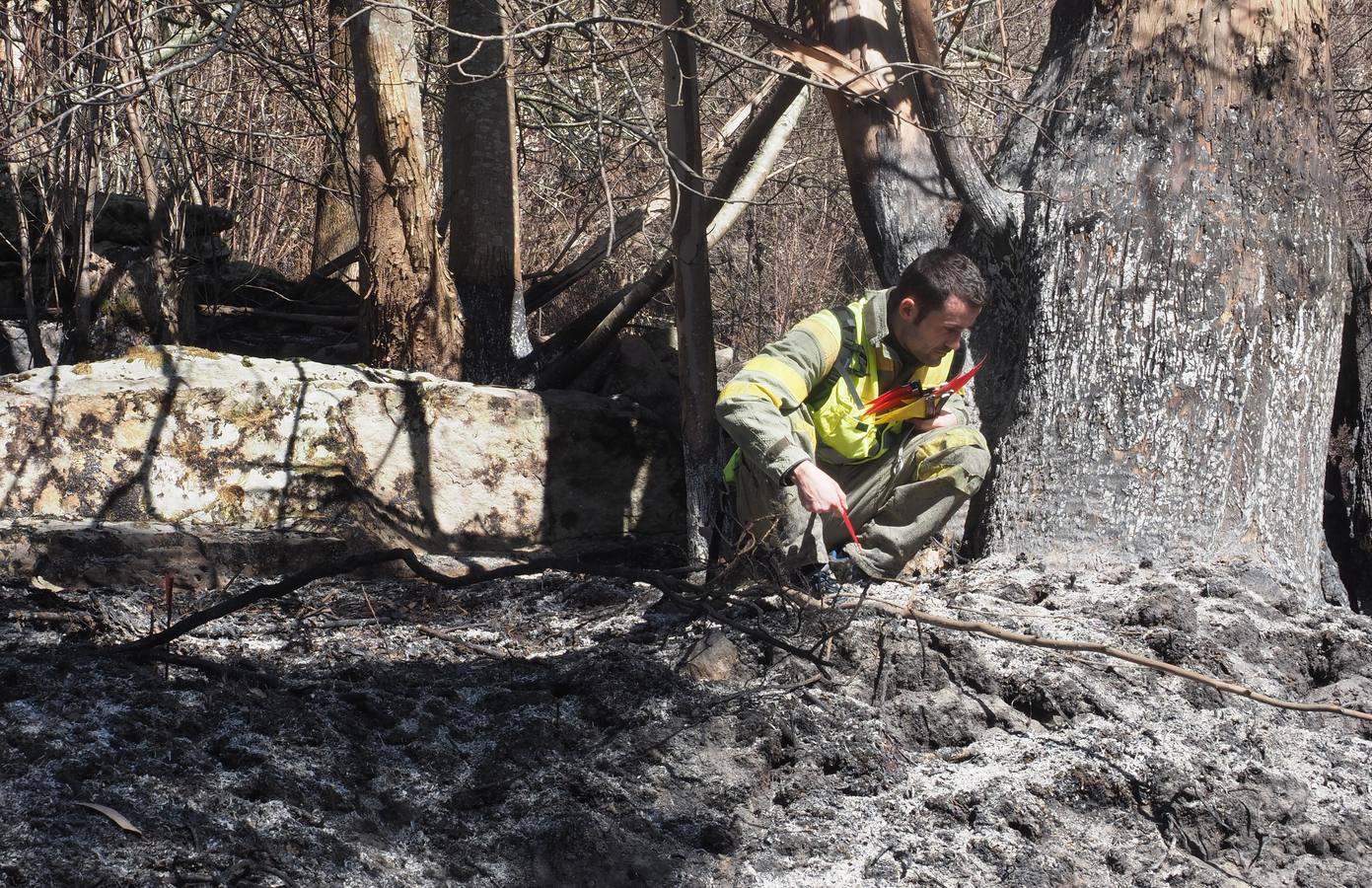 Una brigada de investigación de incendios y la Guardia Civil tratan de esclarecer el origen del fuego de Ramales