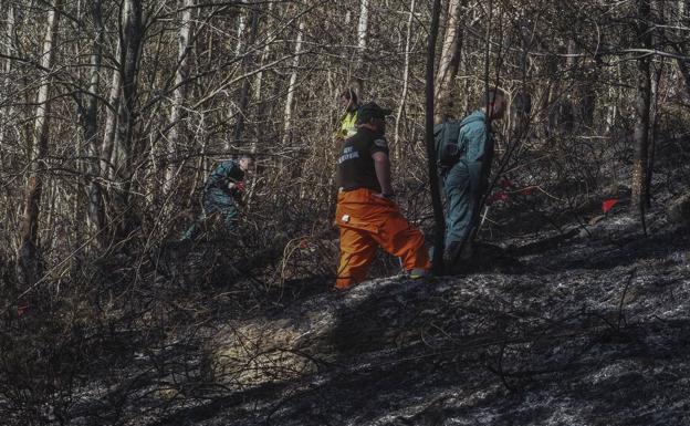 Los agentes de Medio Natural piden que se ataje «el verdadero problema»