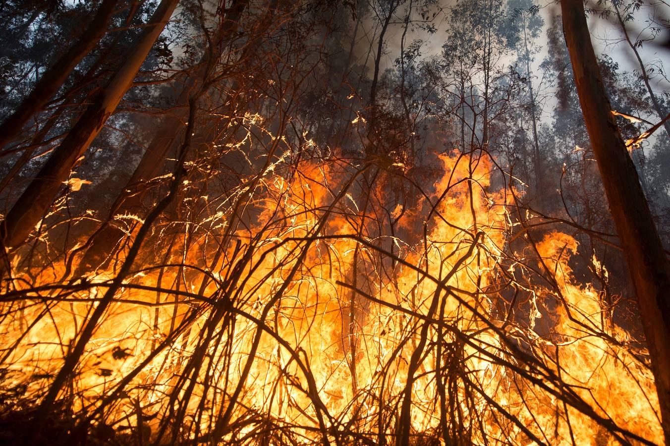 Fotos: Incendios en Cantabria