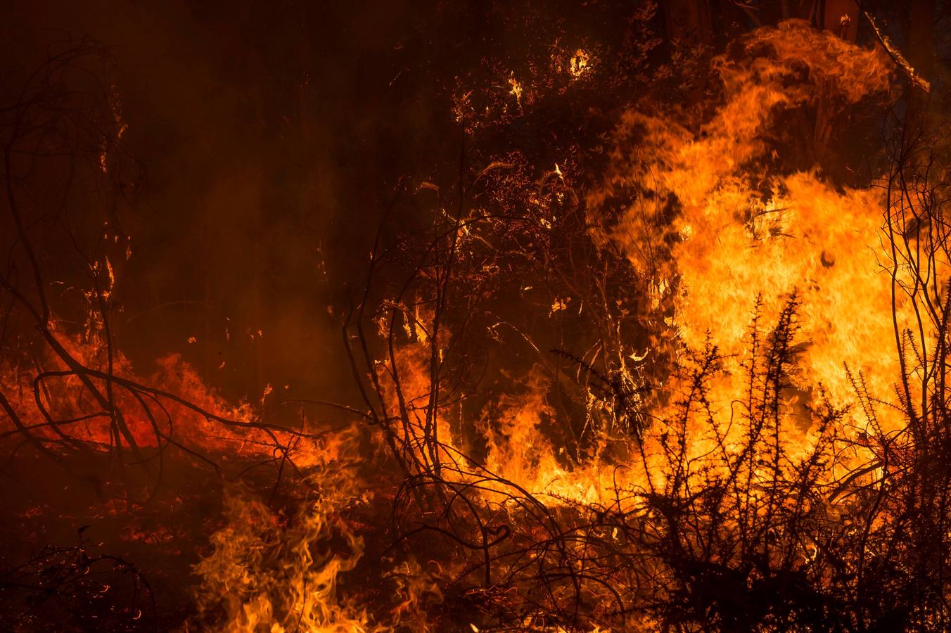 Fotos: Incendios en Cantabria