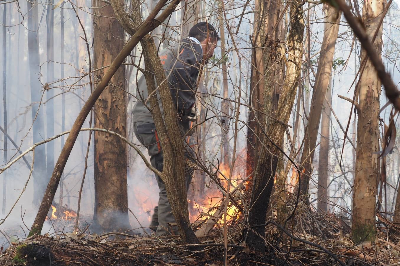 Fotos: Incendios en Cantabria