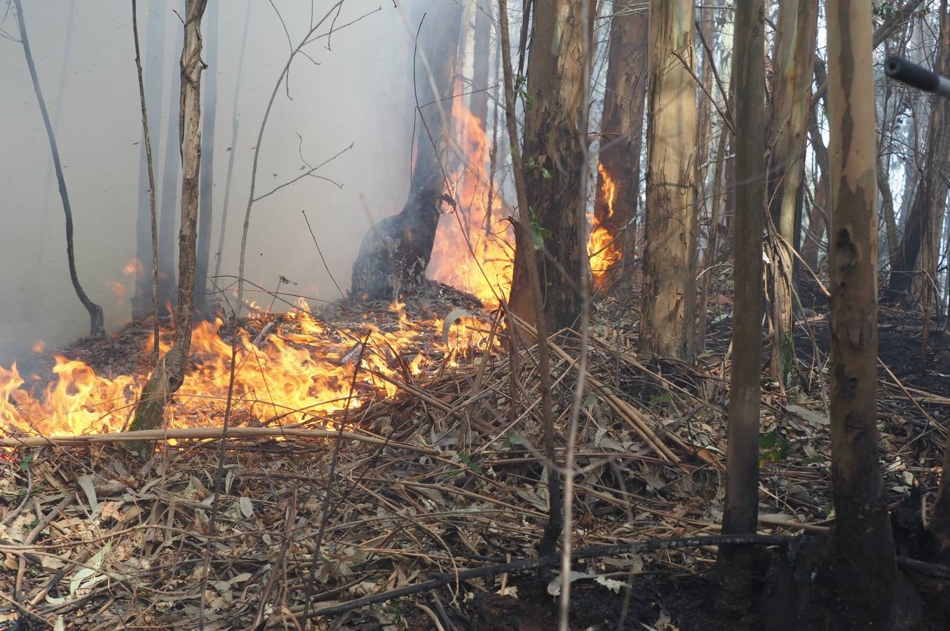 Fotos: Incendios en Cantabria