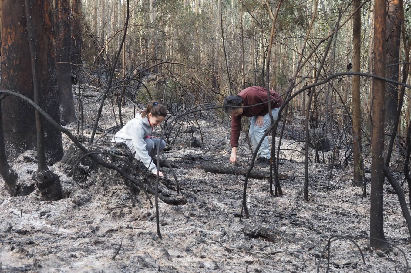 Fotos: Incendios en Cantabria