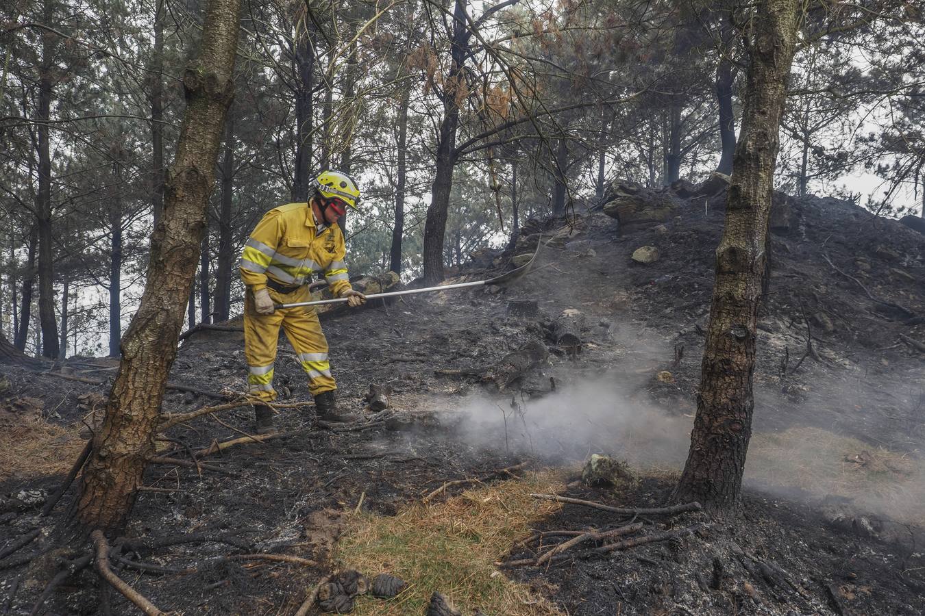 Imágenes de los incendios forestales registrados desde el martes por la tarde hasta este miércoles por la mañana en el Monte Dobra y en las zonas de San Roque de Riomiera, San Sebastián de Garabandal, Penagos, Toranzo, Vega de Pas y La Penilla de Cayón