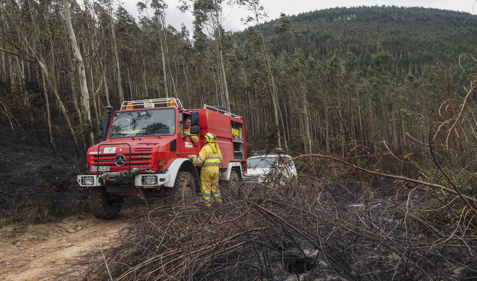 Imágenes de los incendios forestales registrados desde el martes por la tarde hasta este miércoles por la mañana en el Monte Dobra y en las zonas de San Roque de Riomiera, San Sebastián de Garabandal, Penagos, Toranzo, Vega de Pas y La Penilla de Cayón