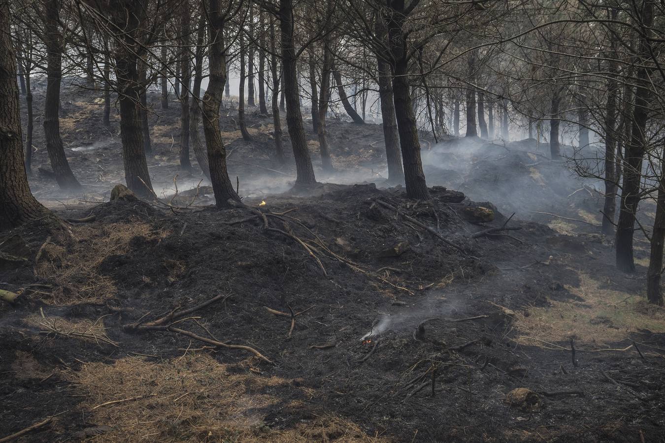 Imágenes de los incendios forestales registrados desde el martes por la tarde hasta este miércoles por la mañana en el Monte Dobra y en las zonas de San Roque de Riomiera, San Sebastián de Garabandal, Penagos, Toranzo, Vega de Pas y La Penilla de Cayón