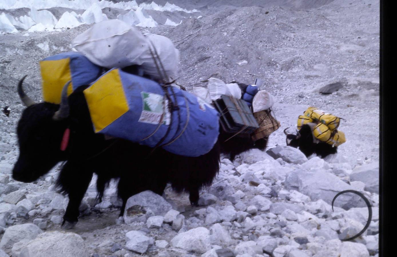 Fotos: Haciendo cumbre en el Cho-Oyu