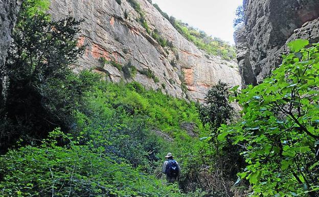 La vegetación cubre el fondo del barranco