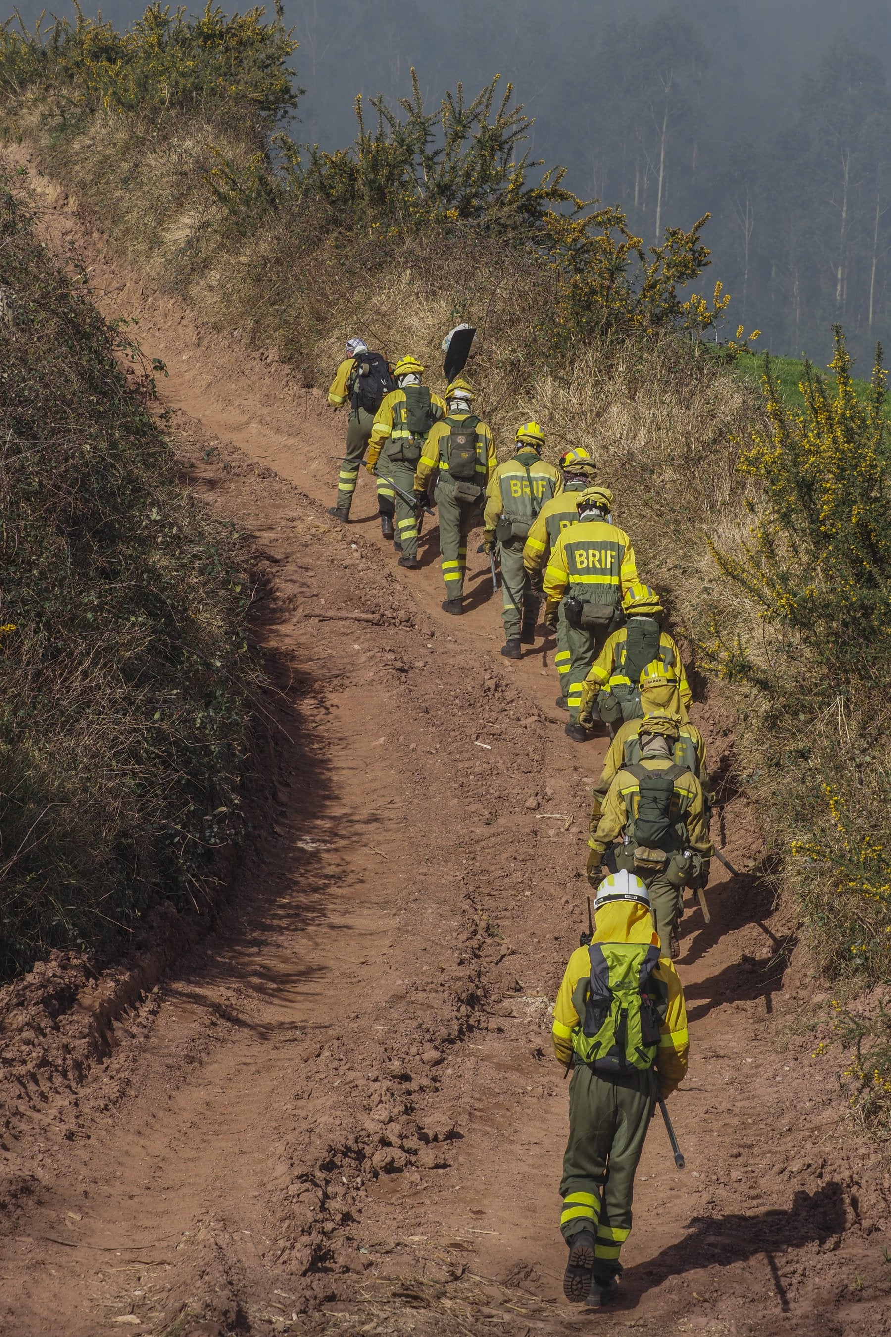 Brigada en el Monte Dobra