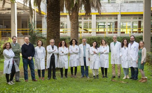 Mónica López Fanárraga, a la izquierda, y su equipo de investigación en Valdecilla. 