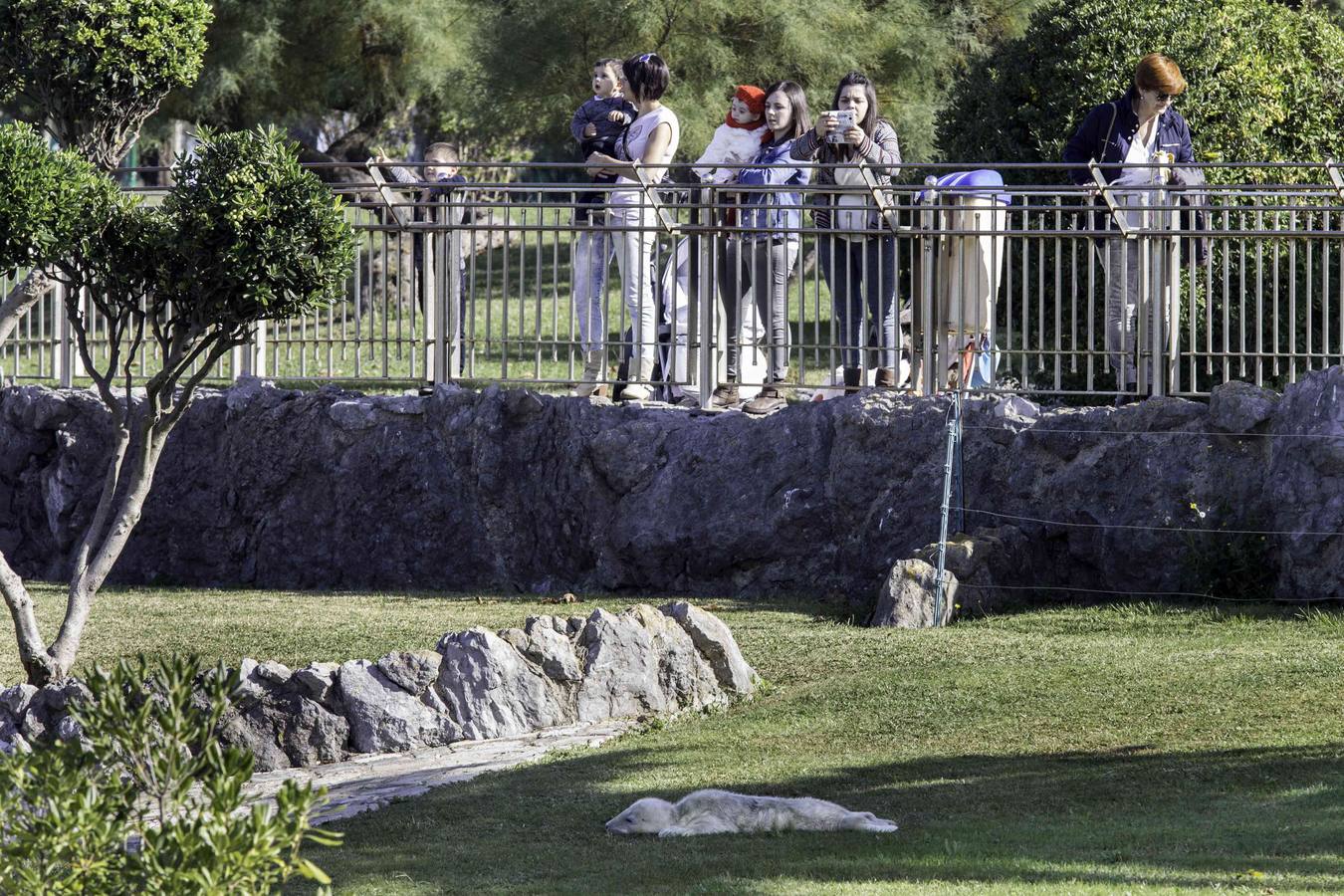 Parque de la península de La Magdalena.