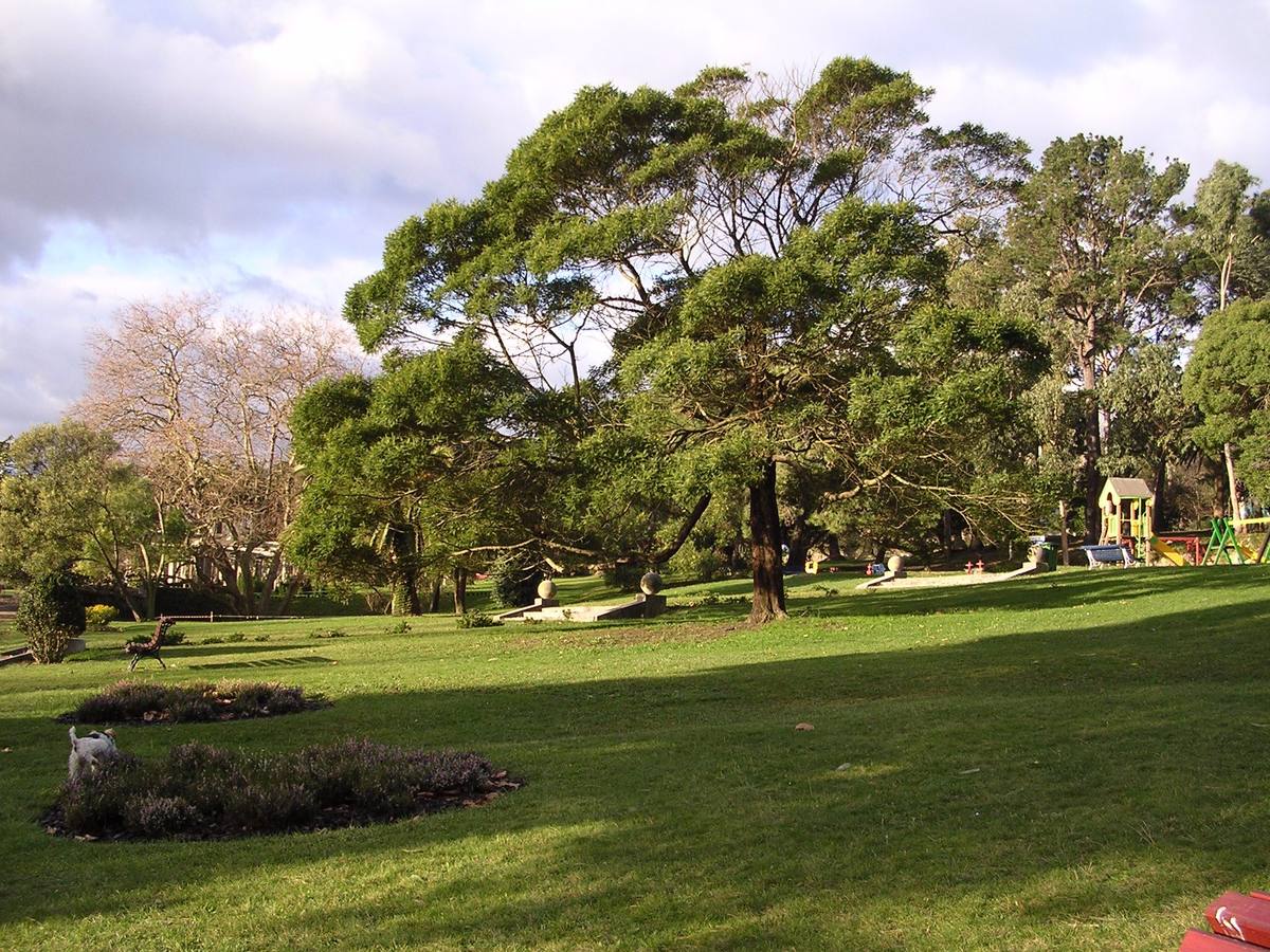 Parque de Mataleñas.