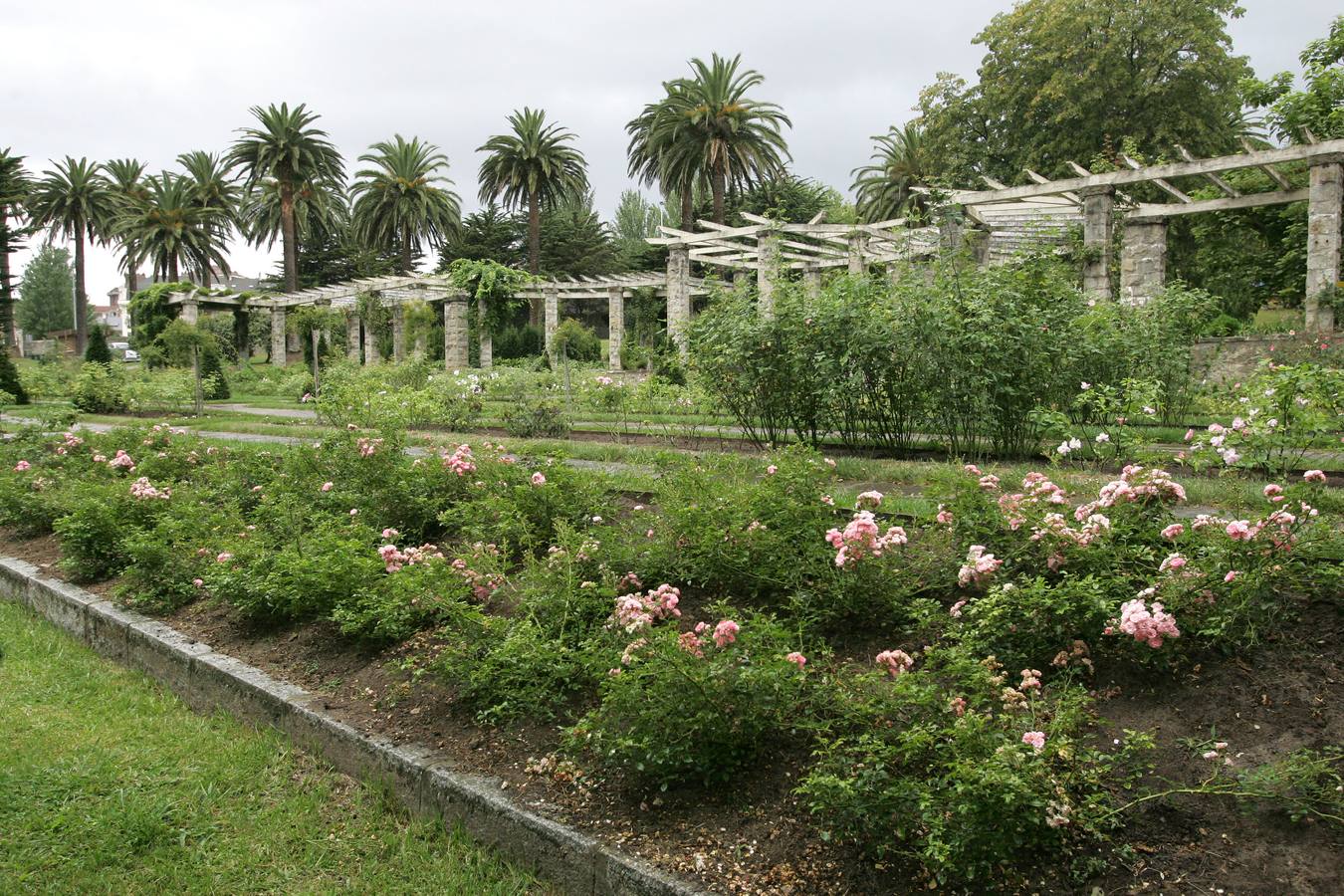 Parque de Mataleñas.
