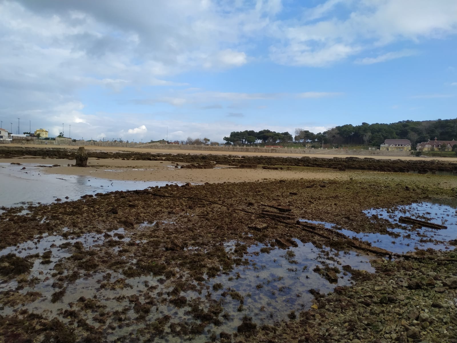 La potente bajamar ha permitido el paso a pié desde la playa de La Magdalena hasta la isla de la Torre en Santander.