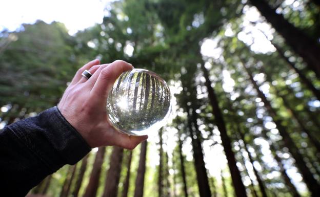 El bosque siempre depara imágenes espectaculares.