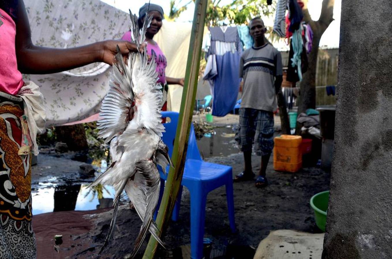 El ciclón Idai, que ha devastado poblaciones enteras a su paso por Mozambique, Malawi y Zimbabue, ha causado al menos 2,8 millones de afectados, según los cálculos que hoy hizo públicos el Programa Mundial de Alimentos (PMA) de las Naciones Unidas.