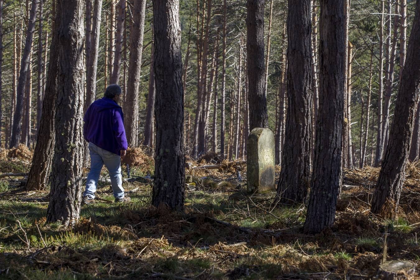 Fotos: Lápidas levantadas en el monte de Santa Juliana en recuerdo de Dominga y Mari Nieves Fernández