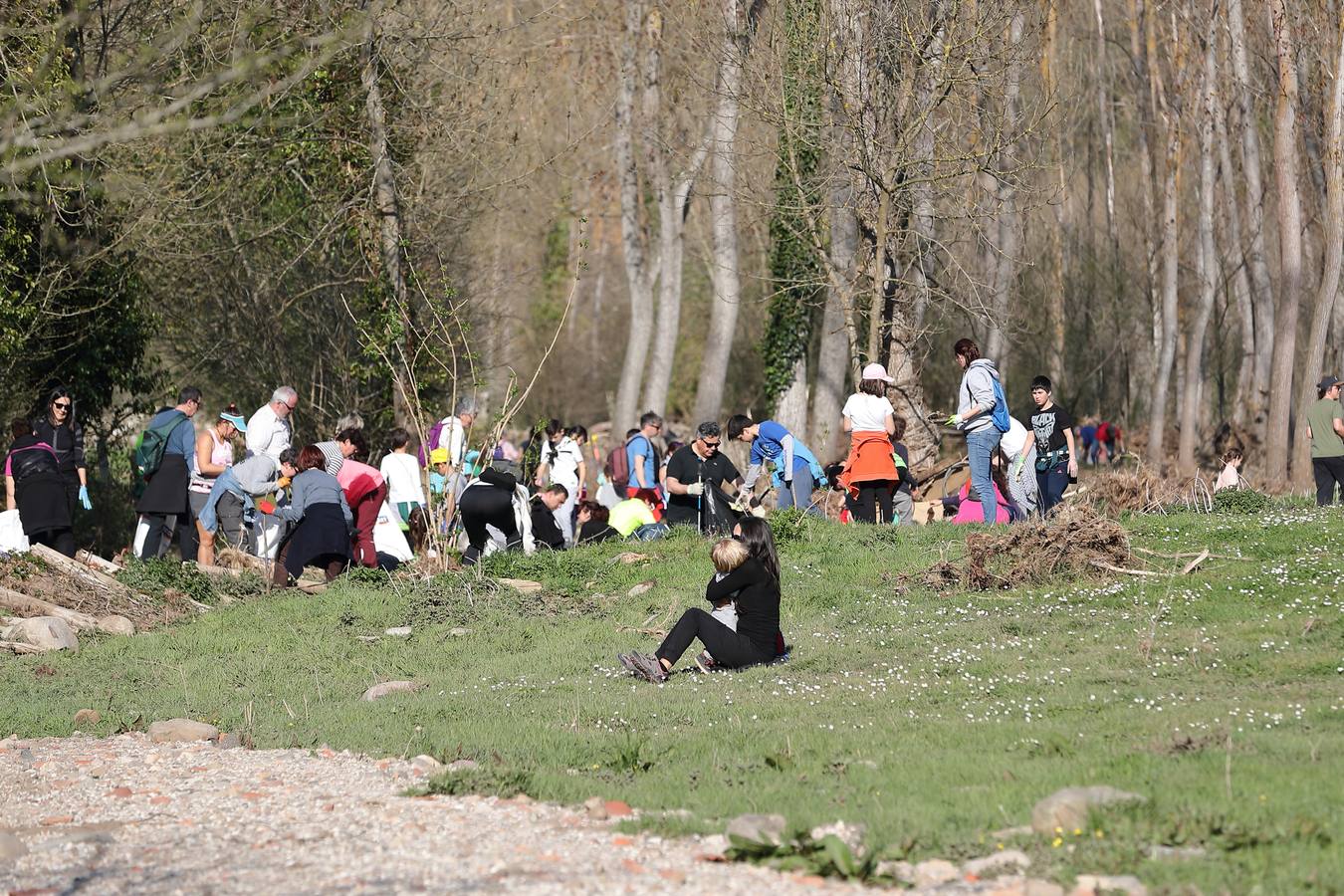 Fotos: Los voluntarios retiran plástico y limpian del río Saja