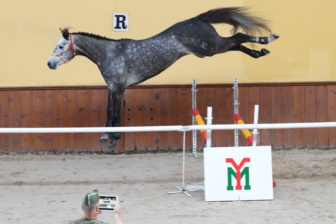 Fotos: La excelencia caballar de Ibio