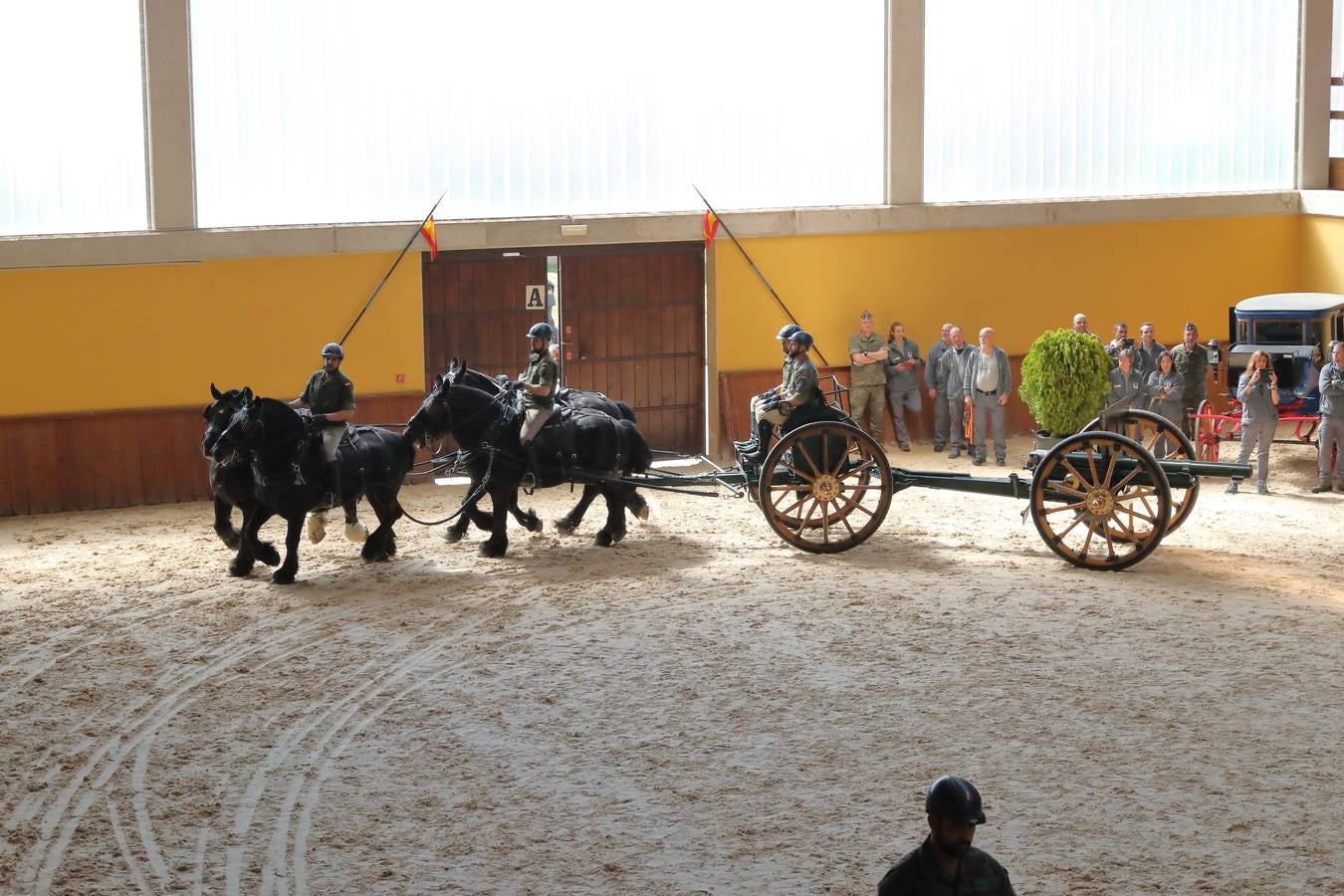 Fotos: La excelencia caballar de Ibio