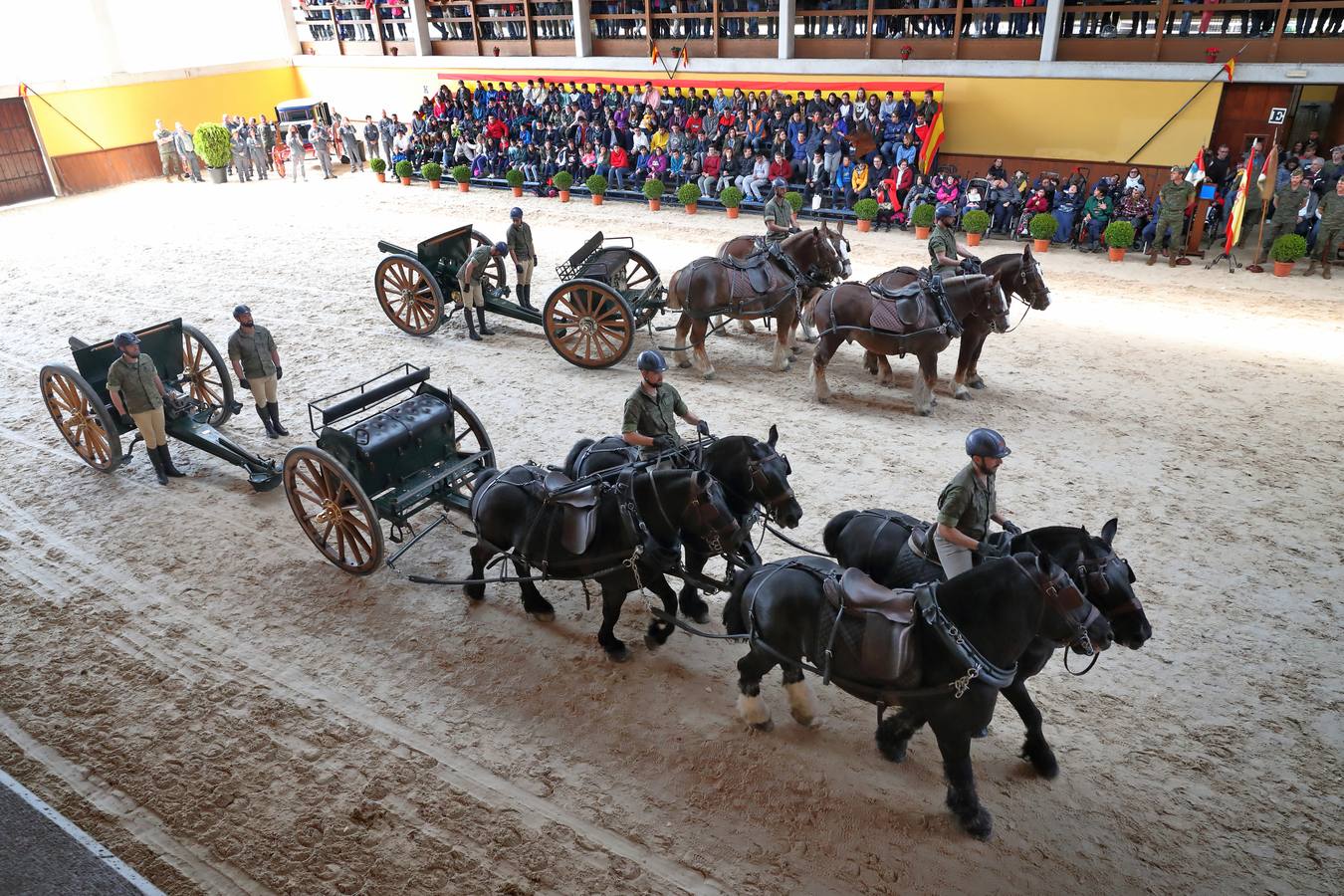 Fotos: La excelencia caballar de Ibio