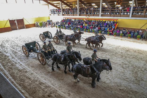 Los visitantes pudieron contemplar tiros de caballos con piezas de artillería. 