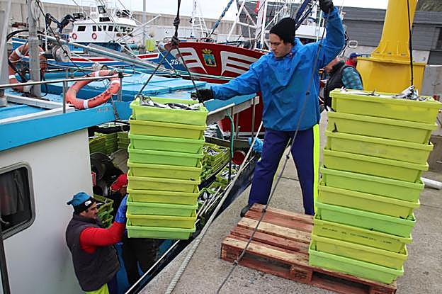 Dos pescadores en plena operación de descarga. :: abel verano