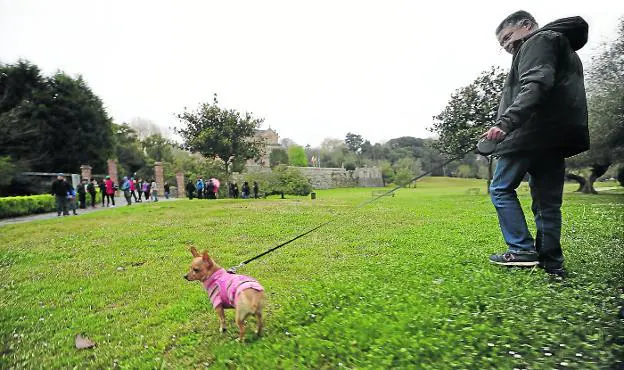 Un hombre pasea con su perro por la campa de Sobrellano, un lugar al que acuden con sus mascotas numerosos vecinos de la villa. 