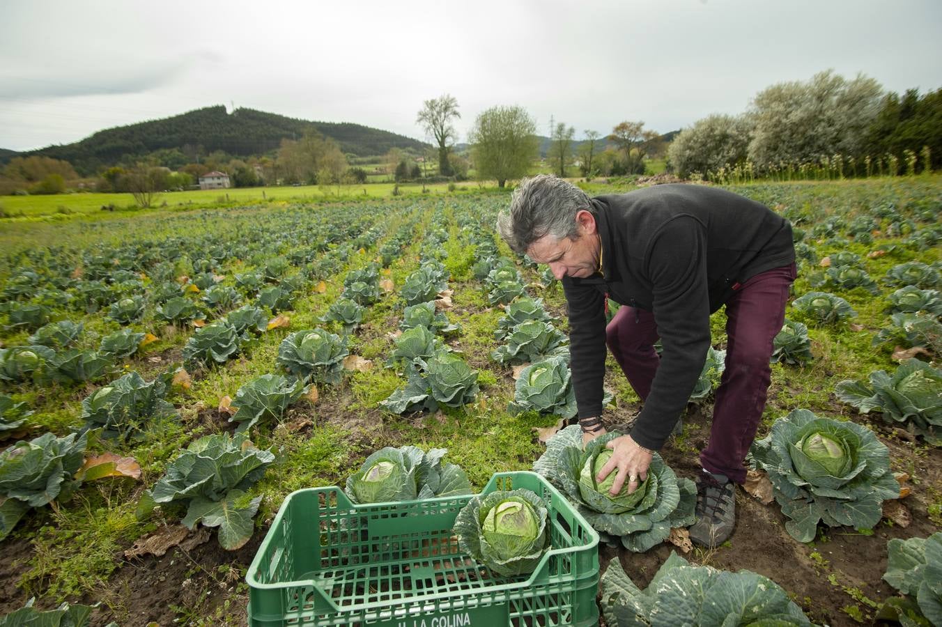 Fotos: EL sector agrícola, contento con la lluvia