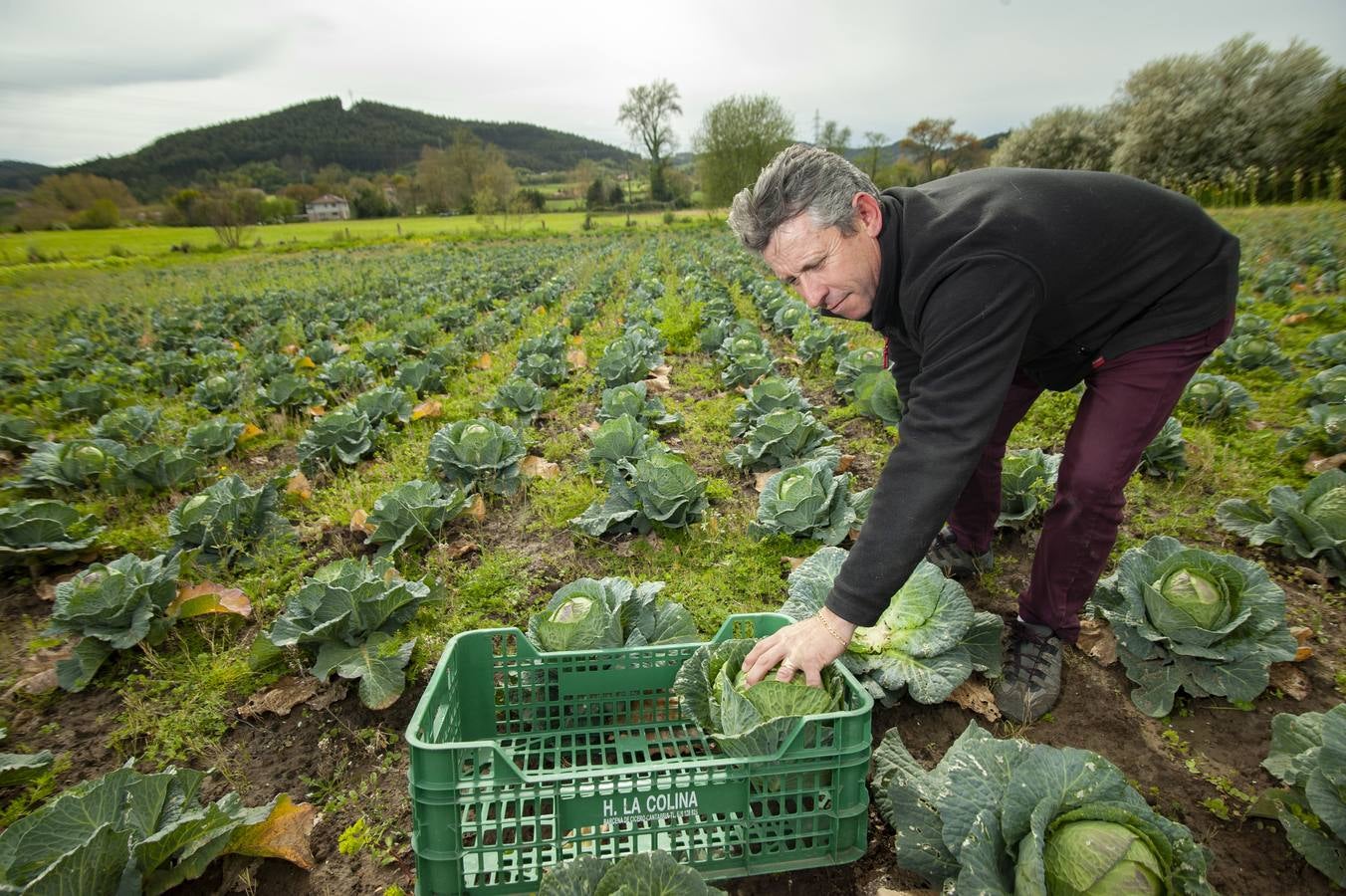 Fotos: EL sector agrícola, contento con la lluvia