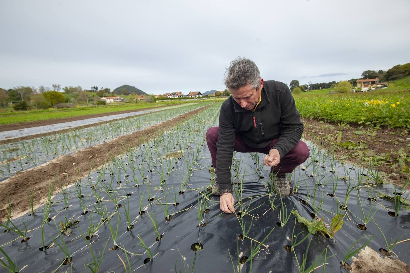 Fotos: EL sector agrícola, contento con la lluvia