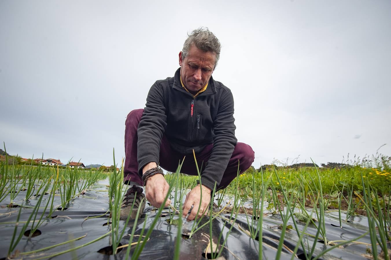 Fotos: EL sector agrícola, contento con la lluvia