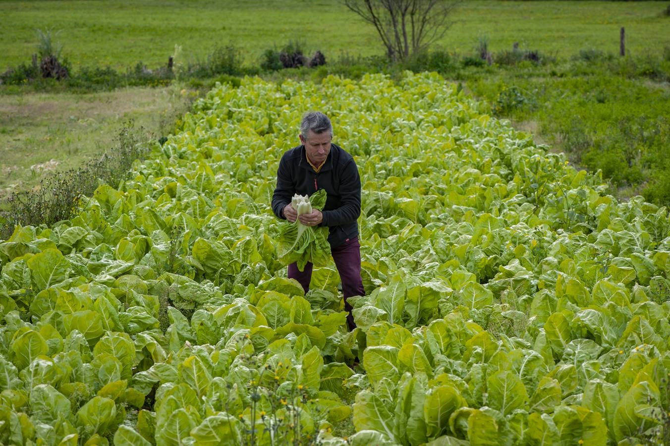 Fotos: EL sector agrícola, contento con la lluvia