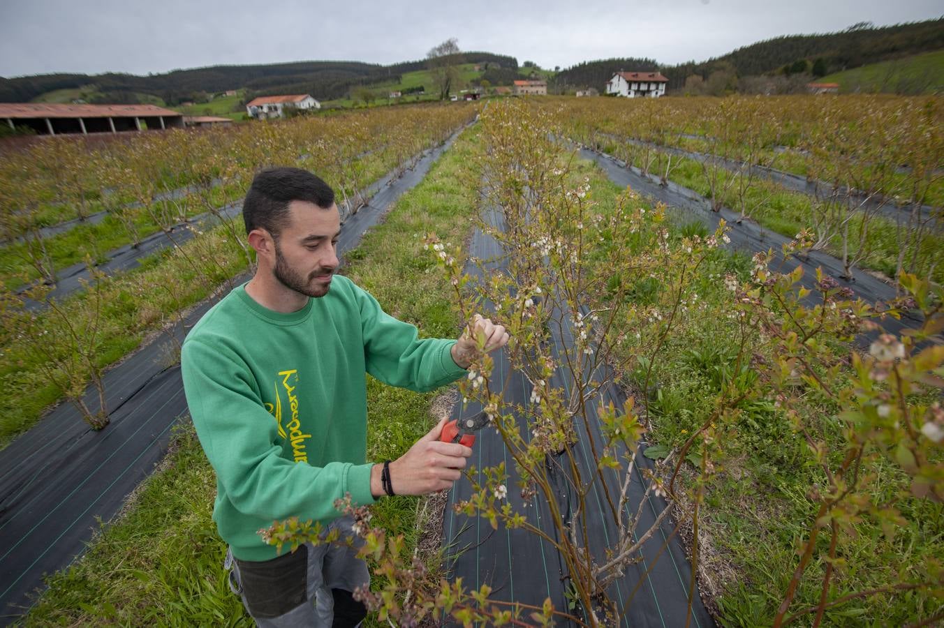 Fotos: EL sector agrícola, contento con la lluvia