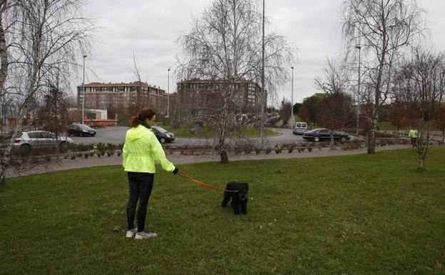 Una mujer pasea con su perro en la zona verde, junto al Bulevar Ronda y el campus universitario, donde se construirá el parque canino. 