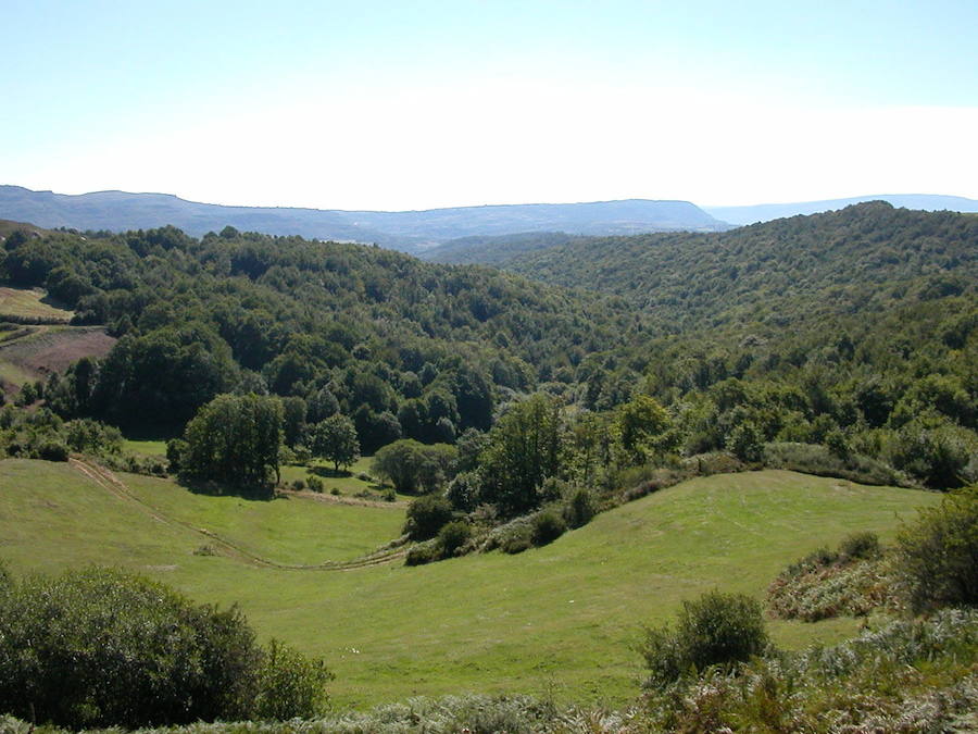 El bosque, que se extiende por Cantabria y Burgos, es una referencia por sus majestuosos bosques