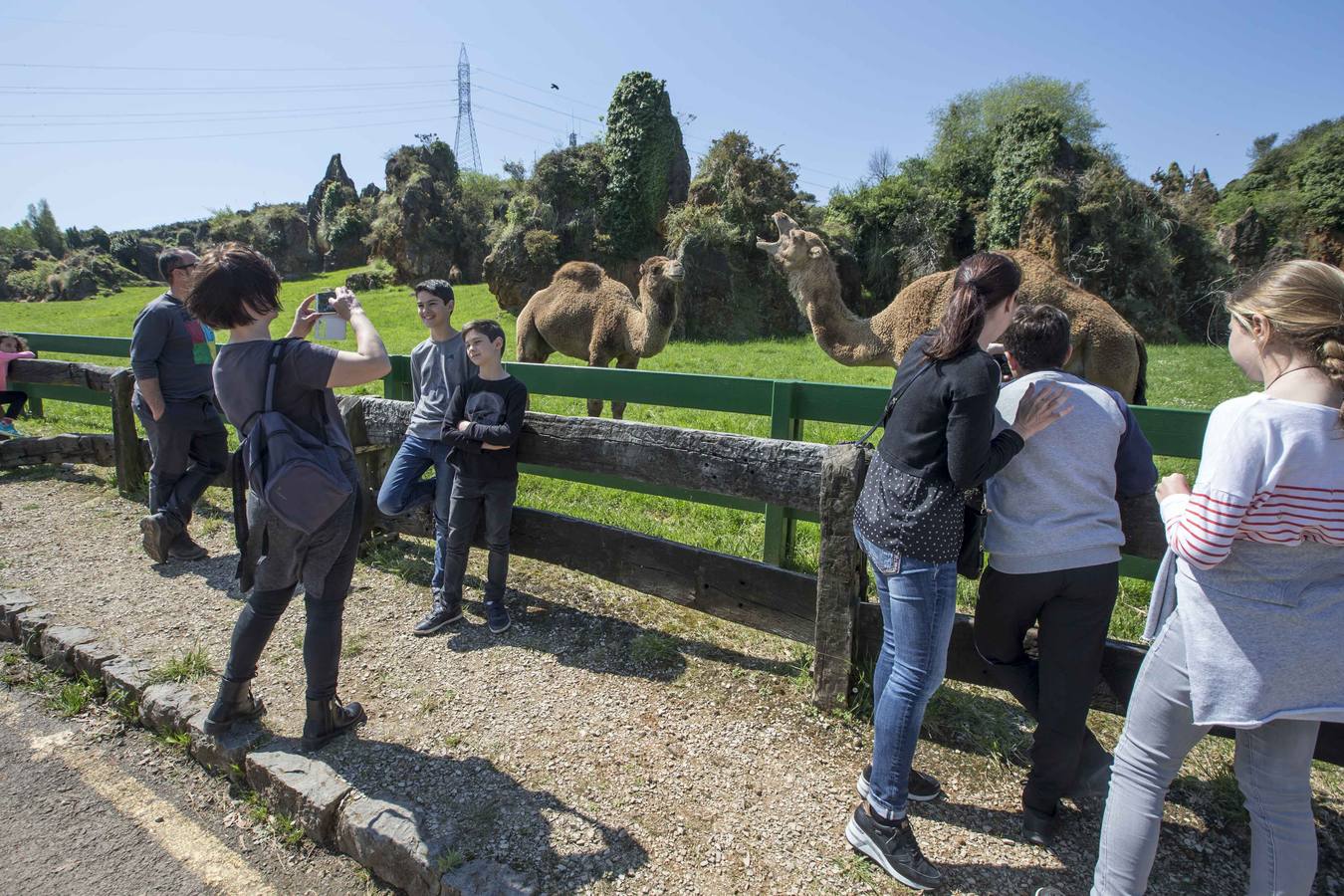 Los clásicos posados con la cercanía de los animales, uno de los grandes atractivos