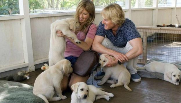 'Marley y yo', protagonizada por Jennifer Aniston y Owen Wilson.