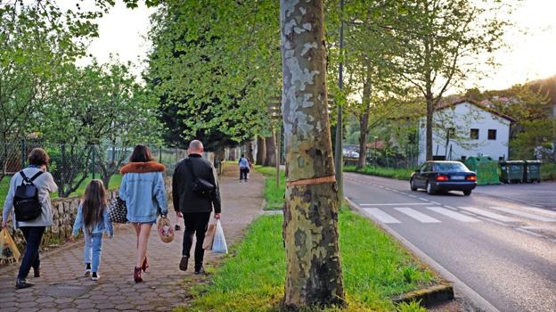 El árbol que ha sido objeto de los daños se encuentra en el paseo de Rubárcena. :: JAVIER ROSENDO