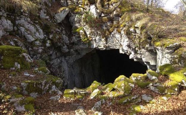 Cueva en el hayedo, antes de llegar al Portillo de Aro.
