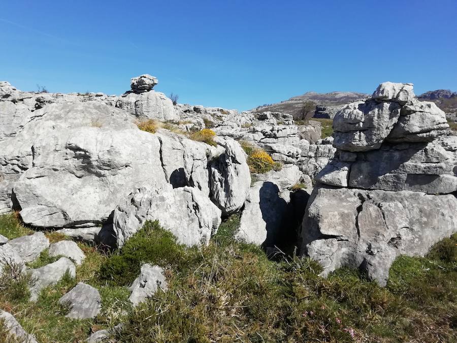 Guardianes de las Garmas